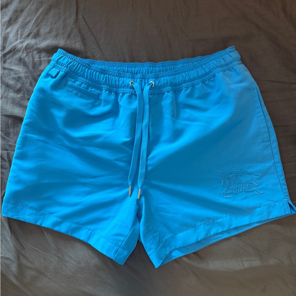 Authentic Burberry Blue Swim Shorts